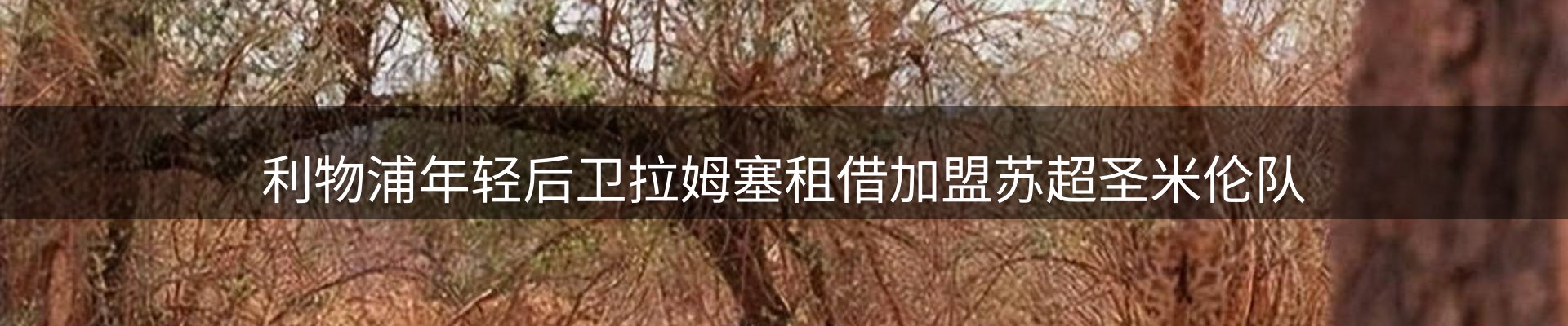 最新资讯
