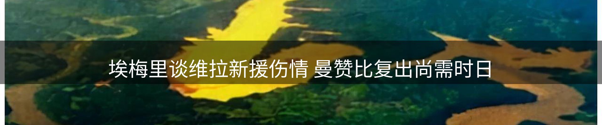 最新资讯