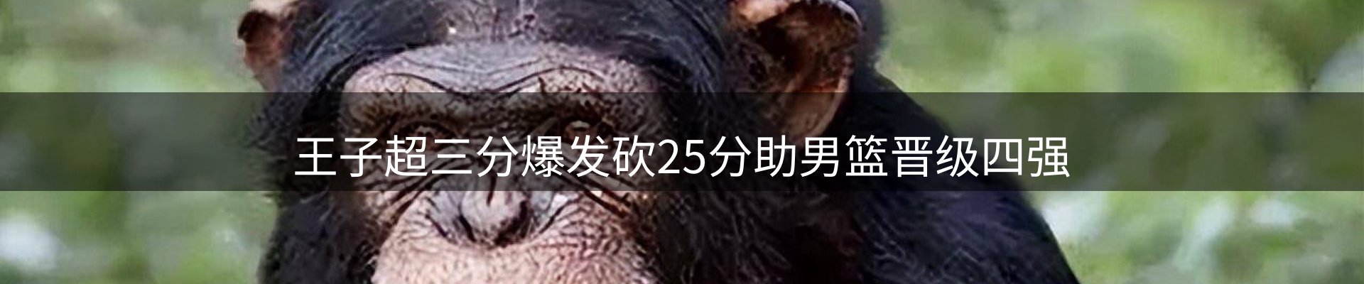 最新资讯