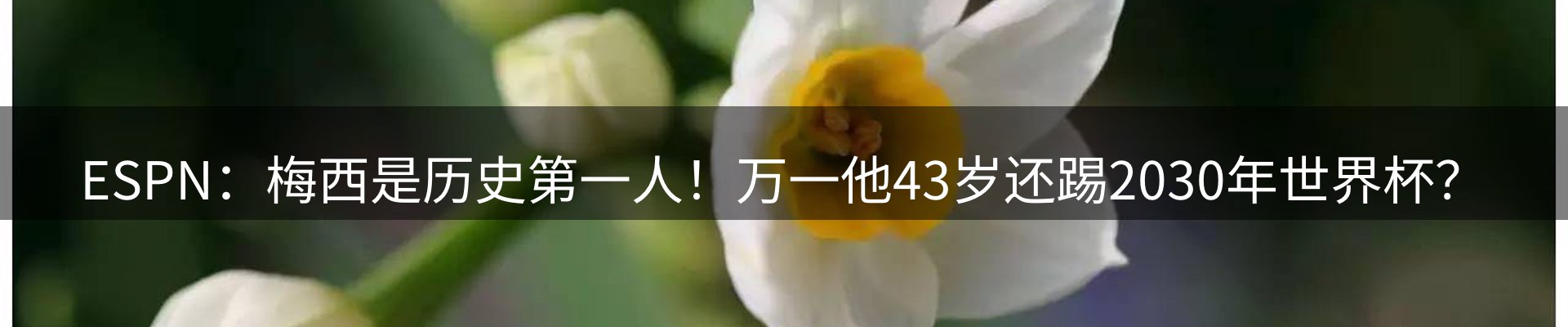 最新资讯
